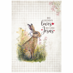 FSC1042 Kitchen Towel