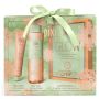 Glow Starter Kit - Holiday 2022 Aka Star Gift