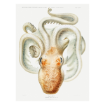 Ocean 1 Art Print