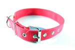 Dog Collars Single Layer 3CMX60CM
