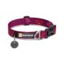 Hoopie Everyday Dog Collar - Large / Lotus