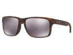 Oakley Holbrook Prizm