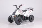 New Rock 2025 110CC 4 Stroke Quad With Remote Start + Reverse - Tao Motor - Small Unit For 6-10 Years - Pink &