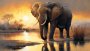 Canvas Wall Art - Majestic Elephant With Sunset - B1018 120 X 80 Cm