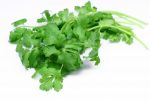 Coriander 25G P