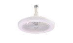 Multi-function LED Fan Light