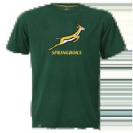 160G Single Jersey Short Sleeve Graphic Tee
