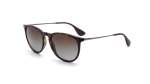 Unisex Erika Sunglasses In Brown - Brown One Size