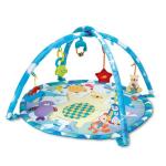 Wfun Polar Fiesta Act Gym