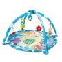 Wfun Polar Fiesta Act Gym