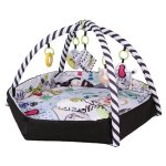 4 In 1 Acivity Playmat & Ball Pit