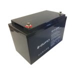 BW238 Eguard Battery Solar ups Lead Acid 12 Volts 100AH. Second Stock