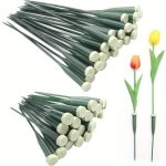 50 Pack Plastic Floral Picks - Extendable Water Tubes With Caps For Flower Arrangements Adjustable Length Vials For Floristry Mu