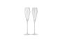 Champagne Flute Glass Set 26.6CM