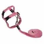 CAT Rogz Z Sparkle 11MM Small H-harness And Lead Pink Waggs Pet Shop