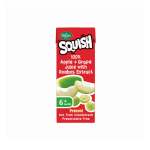 Rhodes Squish 100% Juice 200ML Assorted Flavours - Apple & Grape