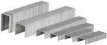 Parrot Staples 26 6 -NO56 30 Pages 5000PCS