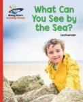 Reading Planet - What Can You See By The Sea? - Red B: Galaxy Paperback