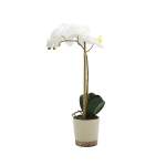 43CM Real Touch Orchid White