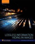 Lossless Information Hiding In Images Paperback