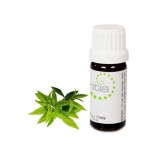 Escentia Lemon Verbena Essential Oil - 11ML