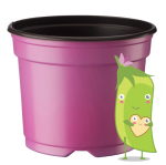 Medium Pots - Pink