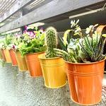 Lalagreen Railing Planter - 10 Pack 4 Inch Hanging Wall Herb Planters For Outdoor Plants Orange Metal Hanging Flower Pot Yellow