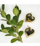 Heart Stud Earrings - Gold Free
