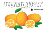 Kumquat Concentrate - 10ML