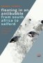 Floating In An Antibubble From South Africa To Salford - A Mosaic Of Pictures And Stories   Paperback UK Ed.