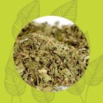 Verbena Leaves