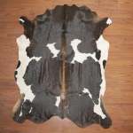 Bs Grade Nguni Hide 569 Tricolour XL - Extra Large Tricolour Panelled