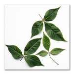 Leaves Square 1 Art Print - 30 X 30CM No Frame Print Only