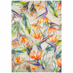 FSC1042 Kitchen Towel