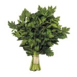 Pnp Soup Celery Bunch