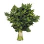 Pnp Soup Celery Bunch
