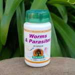 Worms & Parasites 60 Capsules Willow
