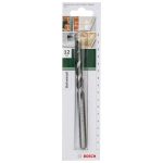 Bosch Bit Drill Multi Purp 12.0MMX150MM CYL-4