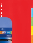 A4 5 Tab Board Divider Deep Tint Assorted PKT-10
