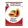 Dwarf Papaya Seeds Papino 12'S