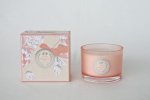 Pomergranate Candle Glass Pot
