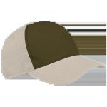 6 Panel Washed Cap