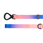 Missy Lead - Dog Leash - Medium