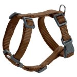 London Rapid Harness - Medium Brown
