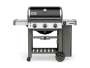 Weber Genesis Ii E-310