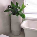 Flute Tall Japi Planter Burnt Cement - Large