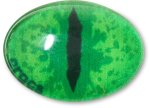 GREE N Animal Eye Jibbitz - Multi Osfa