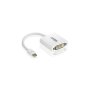 Aten - MINI Displayport To Dvi Adaptor