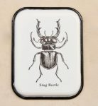 White Enamel Insect Picture 28.5X22CM