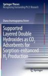 Supported Layered Double Hydroxides As CO2 Adsorbents For Sorption-enhanced H2 Production Hardcover 1ST Ed. 2016